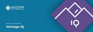 Nozomi Networks Vantage IQのプロンプト実行例